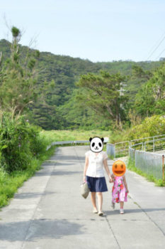 座間味島,沖縄,離島