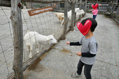 那須,南ヶ丘牧場,子連れ旅行,家族旅行