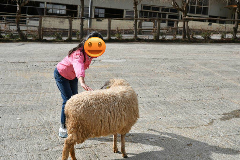 那須,南ヶ丘牧場,子連れ旅行,家族旅行