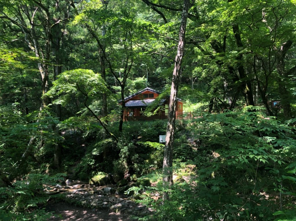 小滝沢キャンプ場,茨城,無料キャンプ場