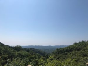 青森,家族旅行,ワラッセ,東北