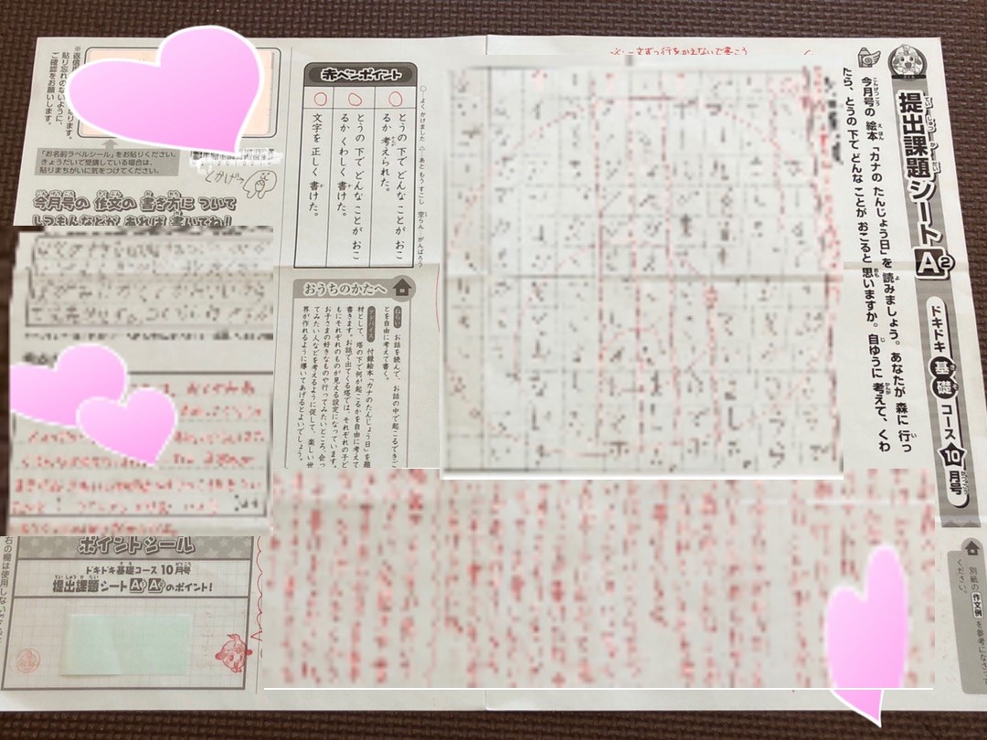 ブンブンどりむ,作文,読書感想文,齋藤孝