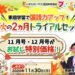 「ブンブンどりむ」のお試し無料体験キットを請求してみました。高いけど入会した理由。